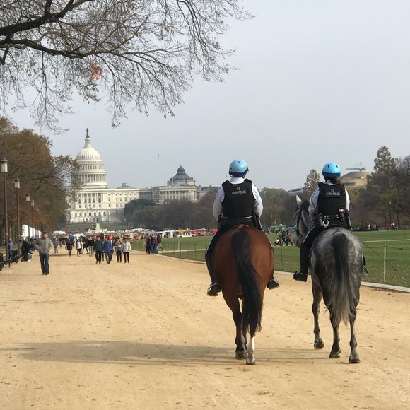 Meet your Posher, Sheng dan - Picture 1 of 1